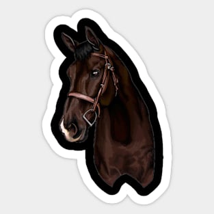 Horse Sticker